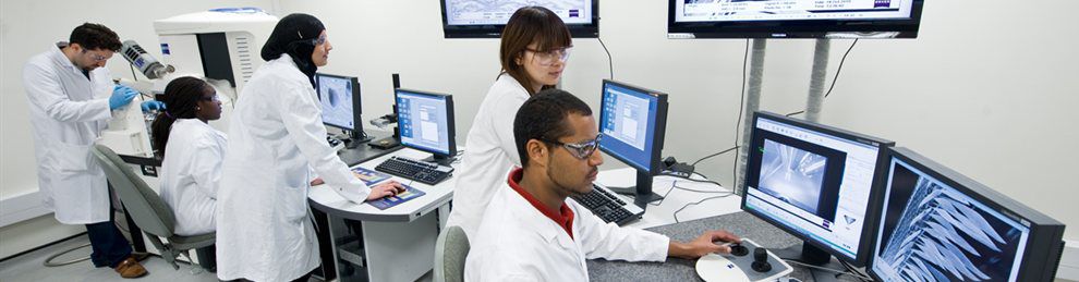 Science students working on computers in the lab